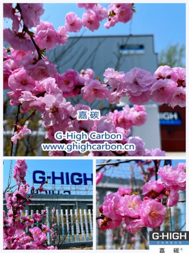 環(huán)保嘉碳，春花爛漫